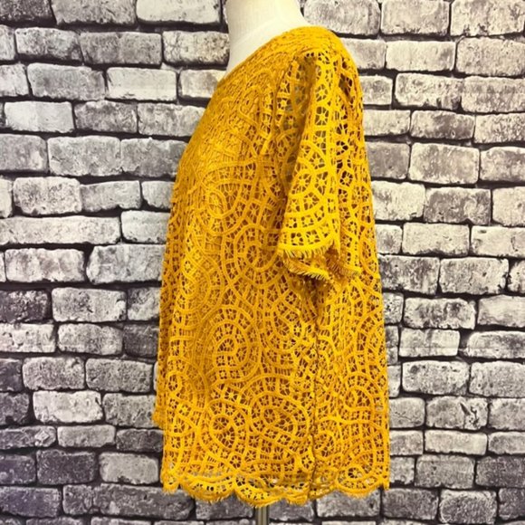 Philosphy Gold Lace Short Sleeve Blouse Size XXL - Picture 4 of 9